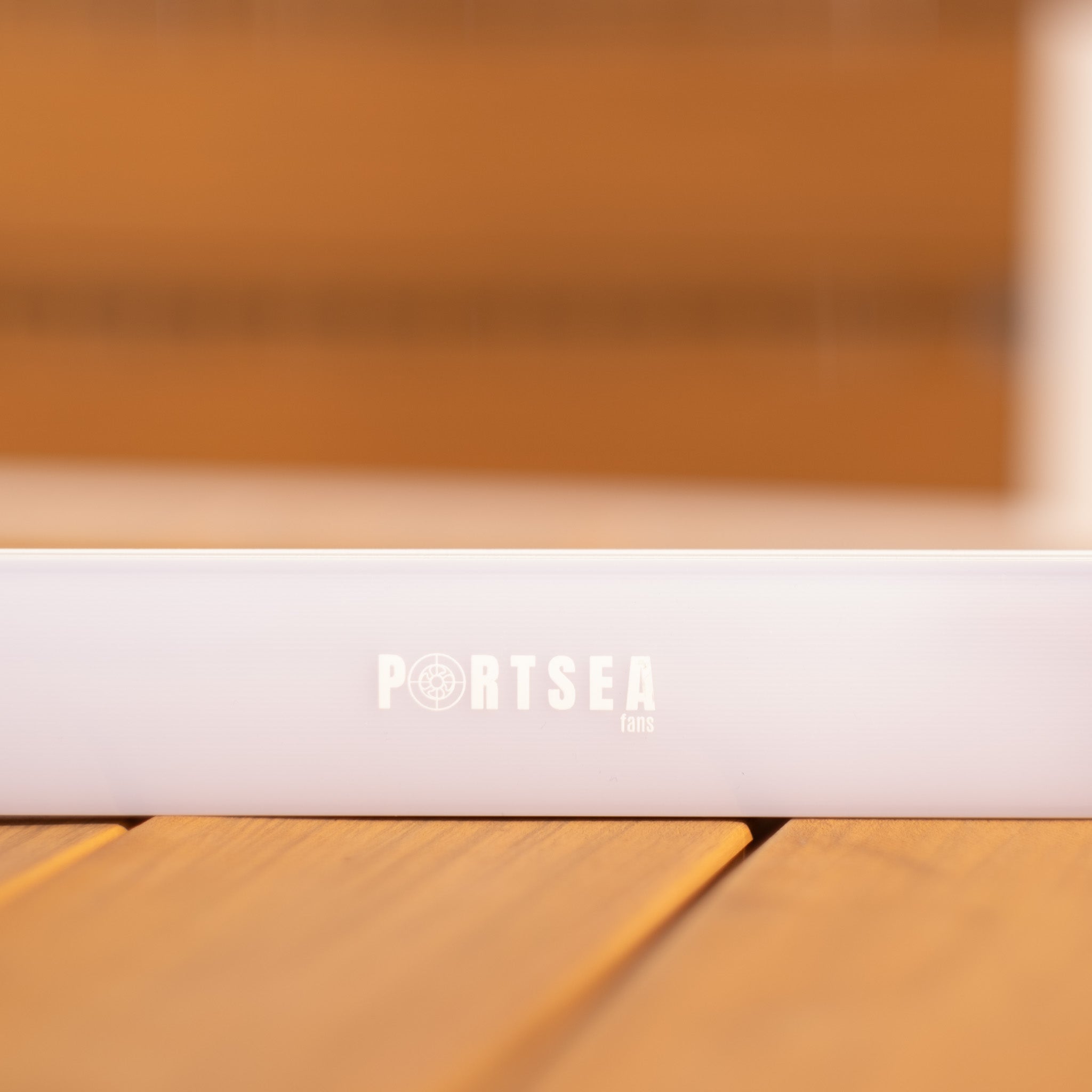 Portsea Fans | Rooflight
